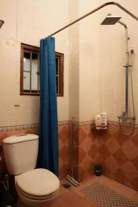 a bathroom with a toilet and a blue shower curtain at French-styled house in Hanoi +31 photos