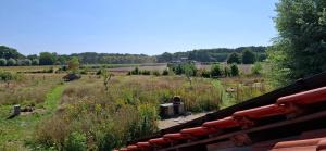 een uitzicht op een veld vanaf een trein bij Berend 't Boerle in Vorden