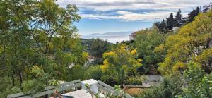 ein Blick auf das Wasser von einem Hügel mit Bäumen in der Unterkunft Nefeli Traditional House in Alonnisos Altstadt