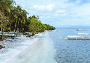 una spiaggia con barche in acqua e palme di Xstaycation a Panglao