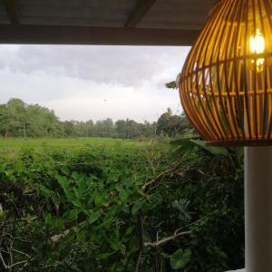 een gele lamp in een akker bij My Guest Mirissa in Mirissa