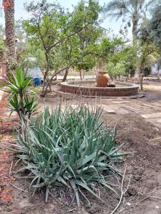 a garden with a fountain and plants in a park at Chalet besides sakkara piramid in Cairo