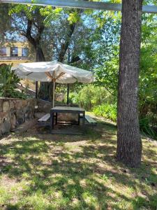 einen Picknicktisch mit einem Regenschirm neben einem Baum in der Unterkunft Tere & Tino Cabañas in Río Ceballos