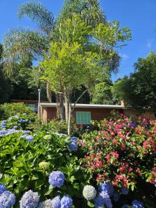 En have udenfor Casa de campo em Carlos Barbosa - Serra Gaúcha