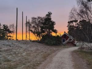 a dirt road leading to a red barn on a field at Friseboda in Yngsjö +17 photos
