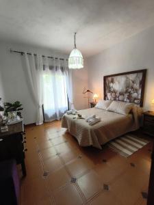 a bedroom with a large bed and a chandelier at Casa Rural hasta 12 personas Alpujarra Granadina, La Almazara in Mecina Fondales