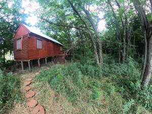 a red cabin in the middle of a forest at Cabaña Natural Del Bosque in Victoria +2 photos