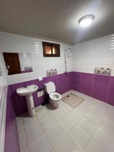 een paarse badkamer met een toilet en een wastafel bij espace familiale2 in Azrou
