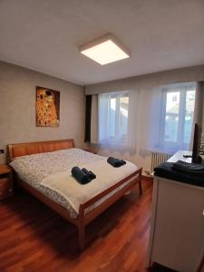 een slaapkamer met een bed met twee zwarte schoenen erop bij Appartamento a Dimaro in Val di Sole in Monclassico
