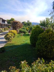 a yard with bushes and a lawn with a hose at Altos de el bolson in El Bolsón