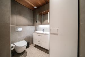 a bathroom with a toilet and a sink at Levillas Lingonberry D26 in Levi +26 photos