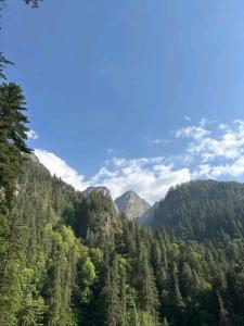 Phong cảnh thiên nhiên gần chỗ nghỉ nhà dân