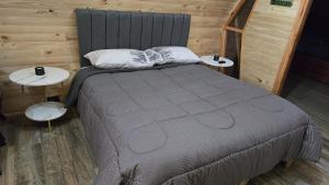 a bedroom with a large bed with two tables at Tiny House in Trape