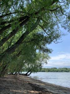 Naturlandskabet i nærheden af lejligheden + 14 billeder