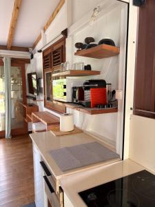 eine Küche mit einer Theke und Regalen in einer Küche in der Unterkunft La cabane in Le Vauclin