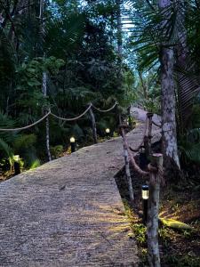 a path in the middle of a forest with trees at Anora Eco-Resort Siquijor in Lazi +7 photos
