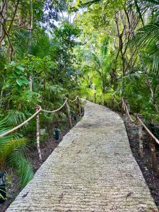 a path in the middle of a forest with trees at Anora Eco-Resort Siquijor in Lazi