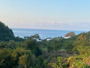 Blick auf das Meer von einem Hügel mit Bäumen in der Unterkunft Las Casitas de La Bahia Calechosa in Emiliano Zapata