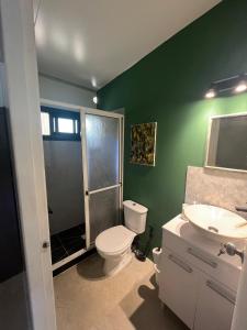 een groene badkamer met een toilet en een wastafel bij Monoambiente de playa in José Ignacio