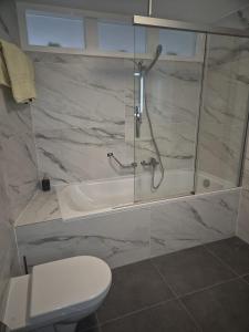 een badkamer met douche en toilet bij Haus Orta in Zermatt