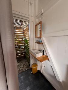 ein kleines Badezimmer mit Waschbecken und Spiegel in der Unterkunft La cabane in Le Vauclin