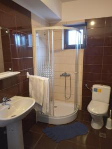 un bagno con doccia, WC e lavandino di Pensiunea Drumul Voievozilor a Arefu Altre 34 foto