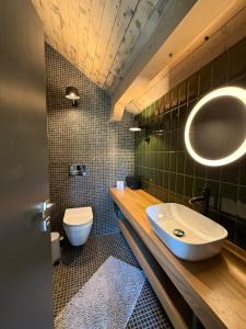 een badkamer met een wastafel en een toilet bij Amber Hills Romania in Braşov +33 foto's