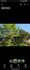 a screenshot of a picture of a tree at Nemurupa Garden Hostel and Yoga near Narita Airport 15 min Shuttle in Narita