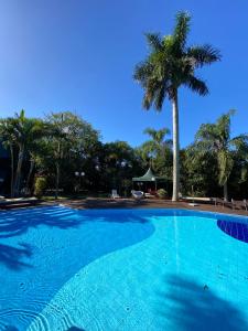 een groot blauw zwembad met een palmboom bij AP Beira da Lagoa da Conceição in Florianópolis
