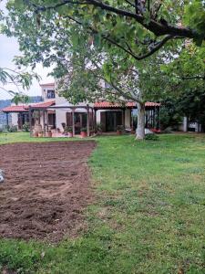 een grote tuin met een huis en een boom bij Gerania Villa in Písia