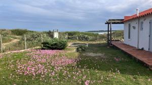 Naturlandskabet i nærheden af feriehuset