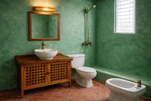 a green bathroom with a toilet and a sink at Casa los Mangos Private pool 150 m from the beach in Las Galeras