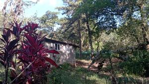 Zahrada ubytování Cerroazulfarmlodge