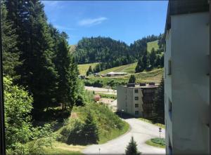 una strada tortuosa tra le montagne con alberi di Le Chitelet vue sur pistes a Xonrupt-Longemer