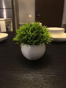 a white bowl with a green plant in it on a table at Millerz Square block C in Kuala Lumpur