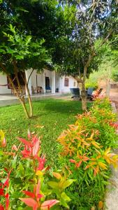 a garden with trees and flowers in front of a building at Elisha Place Hiriketiya in Dickwella