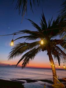 een palmboom met lampjes op het strand 's nachts bij Phangan Orchid Resort in Baan Tai +24 foto's