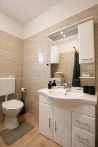 un bagno con un lavandino bianco e un water di Apartman Mila a Golubić