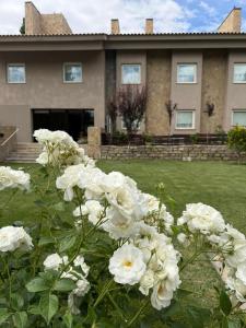 a bunch of white flowers in front of a house at Terra Malal in Chos Malal +42 photos