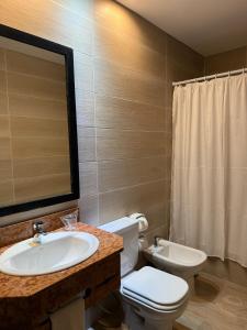 a bathroom with a sink and a toilet at Terra Malal in Chos Malal