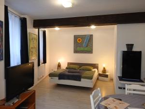 Et tv og/eller underholdning på Appartement 45 qm mit Bad an der Mosel - Nähe Koblenz