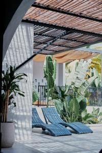 een patio met 2 ligstoelen en planten bij Gaia Casa de Mar in El Bobo