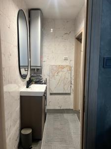 een badkamer met een wastafel en een spiegel bij Astin Studio Vratsa Central in Vratsa