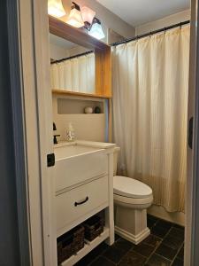 Koupelna v ubytování Cozy home Centrally located free parking sleeps 8 + 43 fotografií