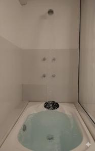 eine mit Wasser gefüllte Badewanne in einer Dusche in der Unterkunft SUITES - Românticas na natureza para adultos in Itapecerica da Serra