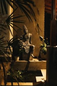 Vườn quanh Villa Bell Rose Hikkaduwa