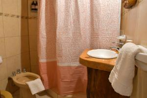 a bathroom with a sink and a toilet and a shower curtain at Girgola hospedaje in Villa Pehuenia +7 photos