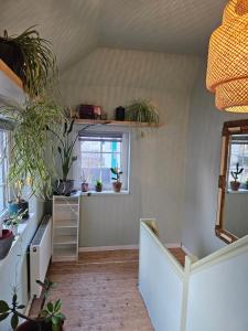 une chambre avec des plantes en pot sur les murs dans l'établissement Ferienhaus An der Burg, à Oschersleben 5 autres photos