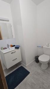 un bagno con un lavandino bianco e un water di studio 4 a Fains-les-Sources