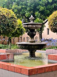 uma fonte no meio de um jardim em Loft On Grosvenor em Pretoria